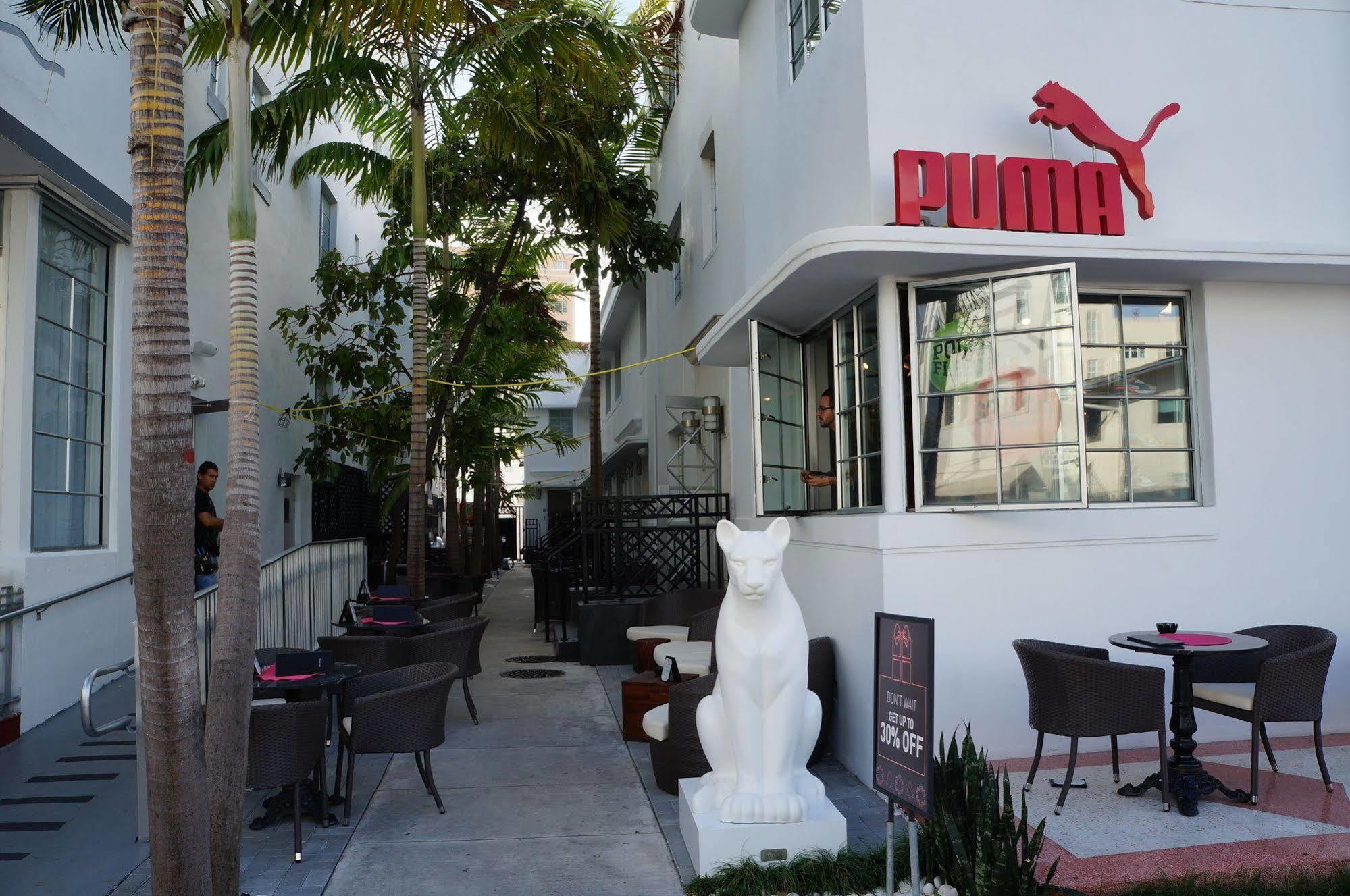 Posh South Beach Miami Beach Eksteriør bilde