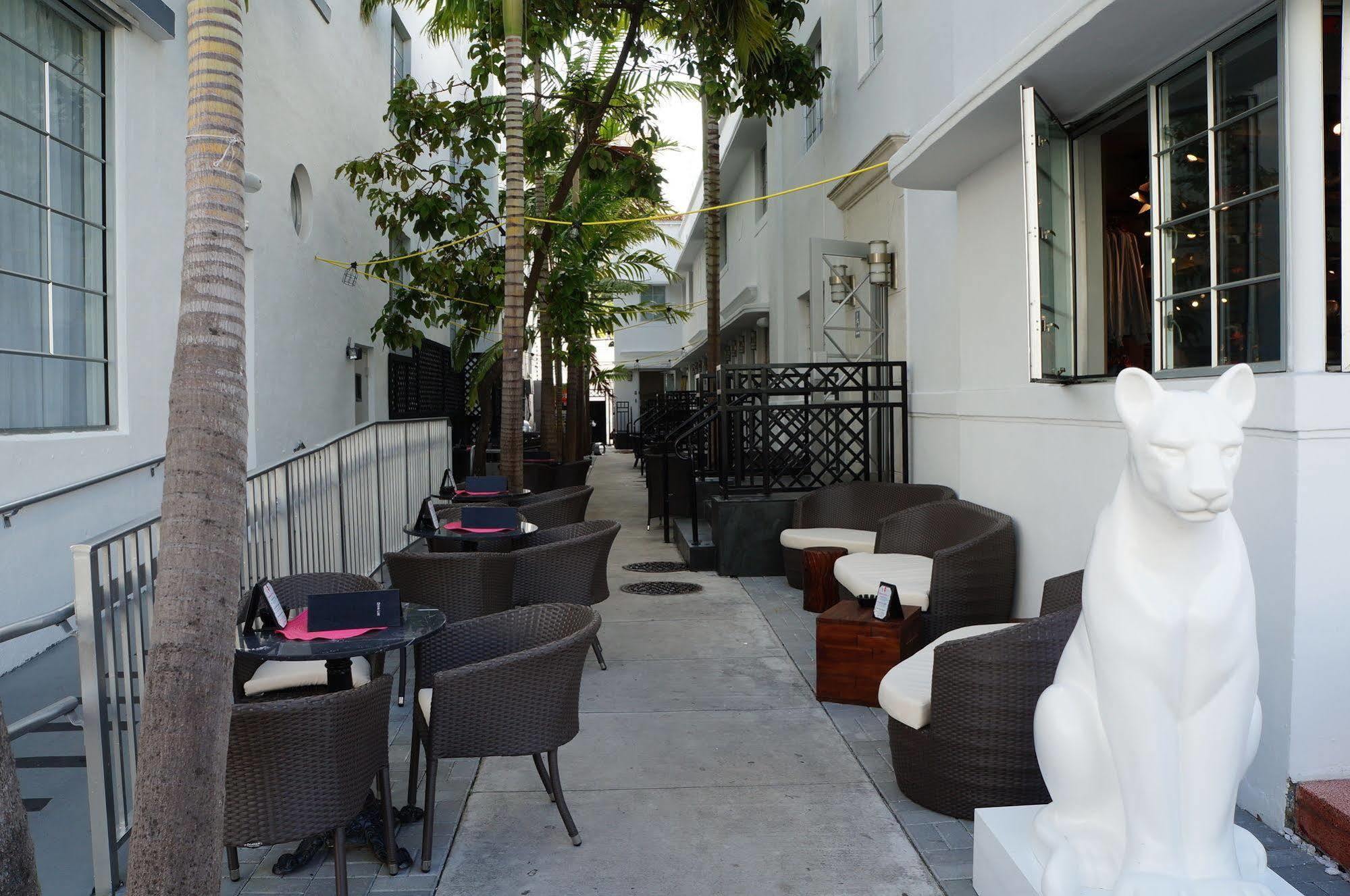 Posh South Beach Miami Beach Eksteriør bilde